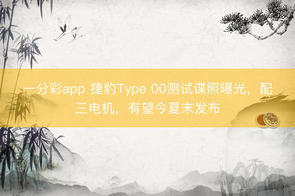 一分彩app 捷豹Type 00测试谍照曝光,配三电机,有望今夏末发布