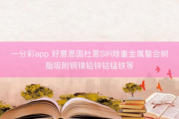 一分彩app 好意思国杜蒽SIR除重金属螯合树脂吸附铜镍铅锌钴锰铁等